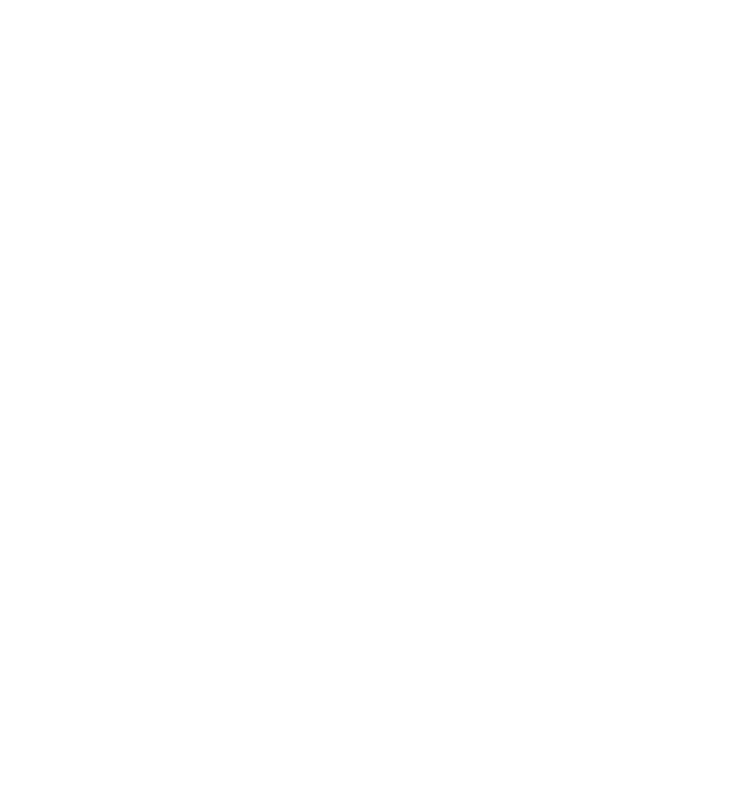 Fusion Consultora