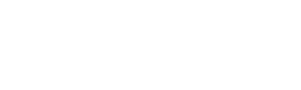 Fusion Consultora
